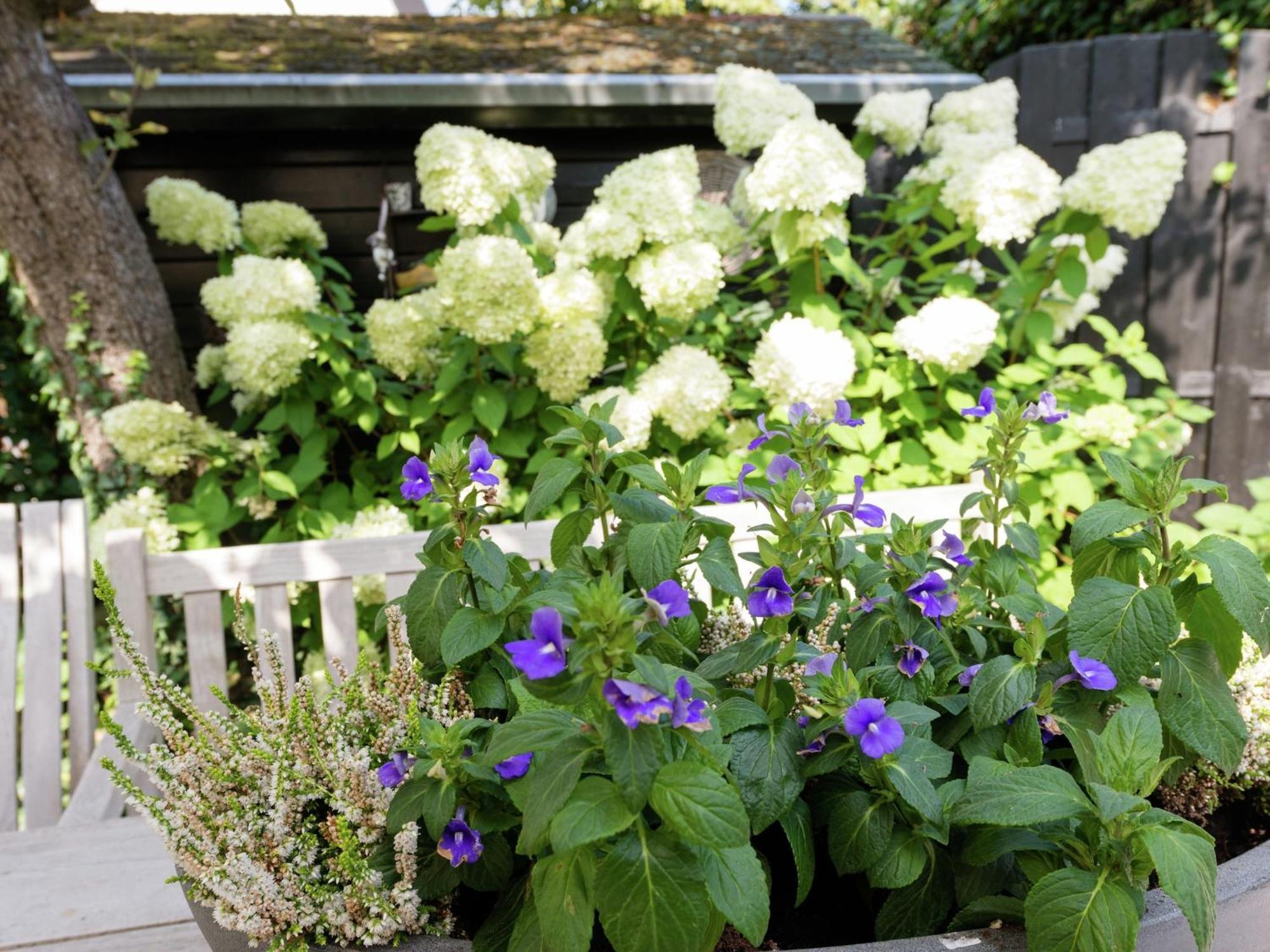 Alluring Apartment In Bergen With Terrace Garden And Bbq 外观 照片